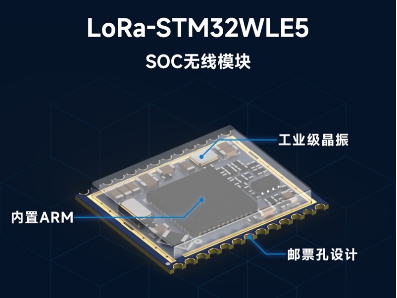 SOC片上系统模块
