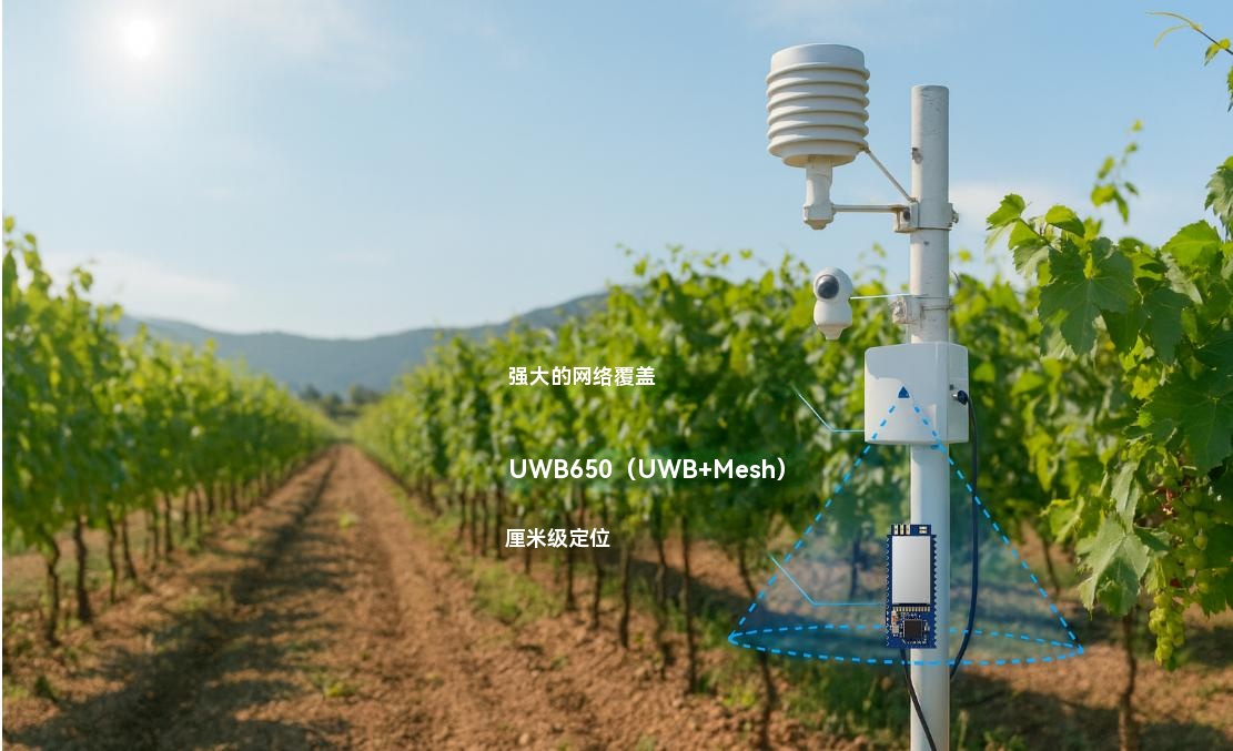 UWB650 农田 Mesh 传感器网络示意图