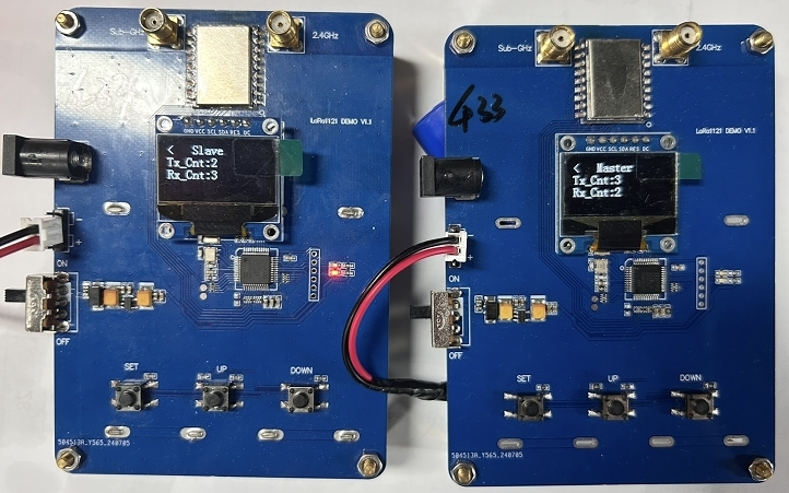 LORA2021 DEMO